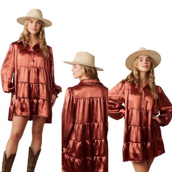 Winter Fall Country Gorgeous Dress w/ Pockets in Bronze NWT - Picture 3 of 12